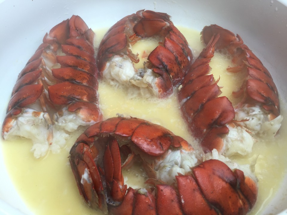 Lobster Roll Recipe Dinner Ideas Lobster Recipes