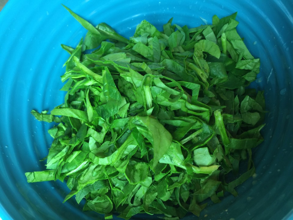 Salad Recipes Parmesan Bowl Recipe