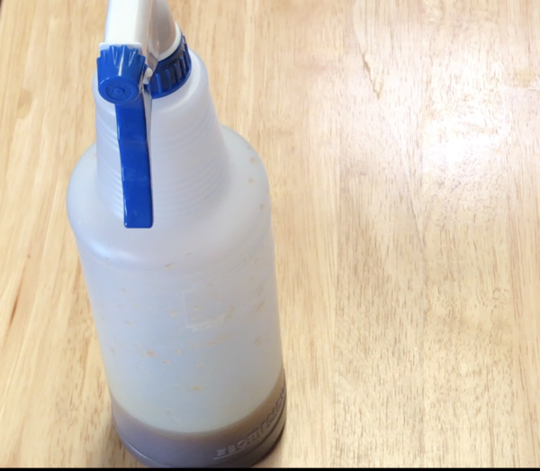 Country Style Ribs Smoking Ribs Recipe Green Mountain Grill Recipes